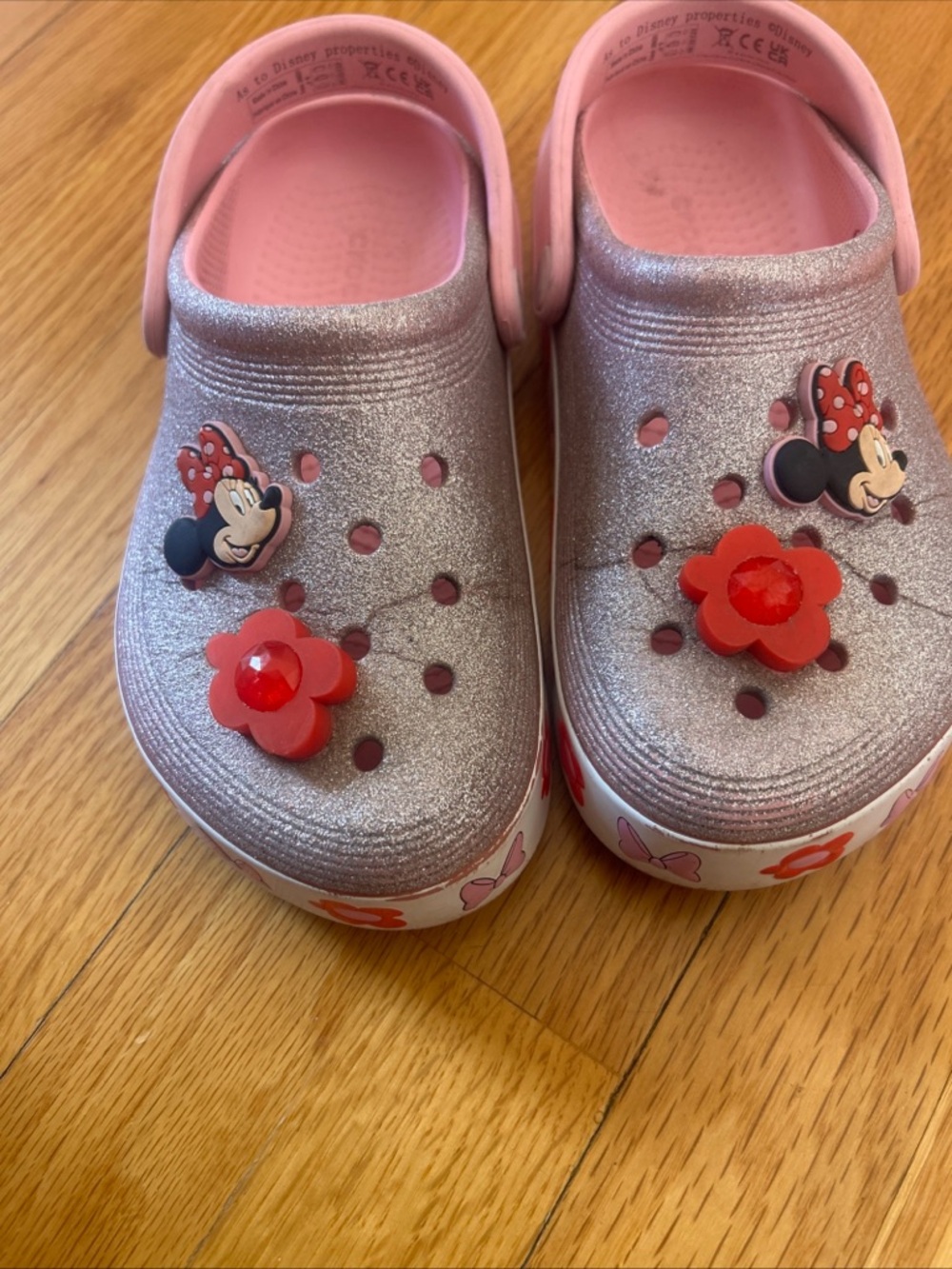 CROCS Kids Sparkle Silver and Pink Clogs with Red Flower Charms